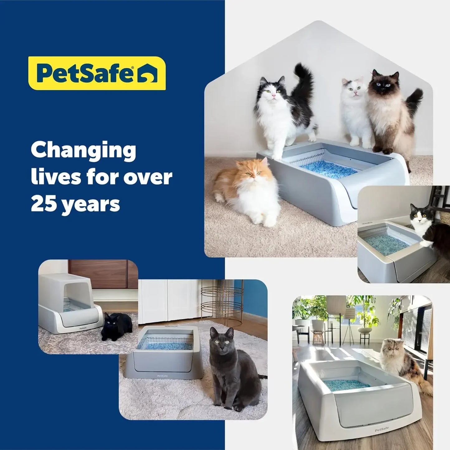 PetSafe ScoopFree Crystal Litter Tray Refills – Lavender Crystals, 6-Pack – Disposable Tray , Absorbs Odors
