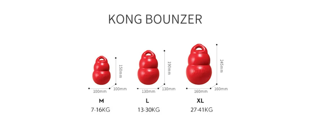 KONG Bounzer Large Dog Toys.