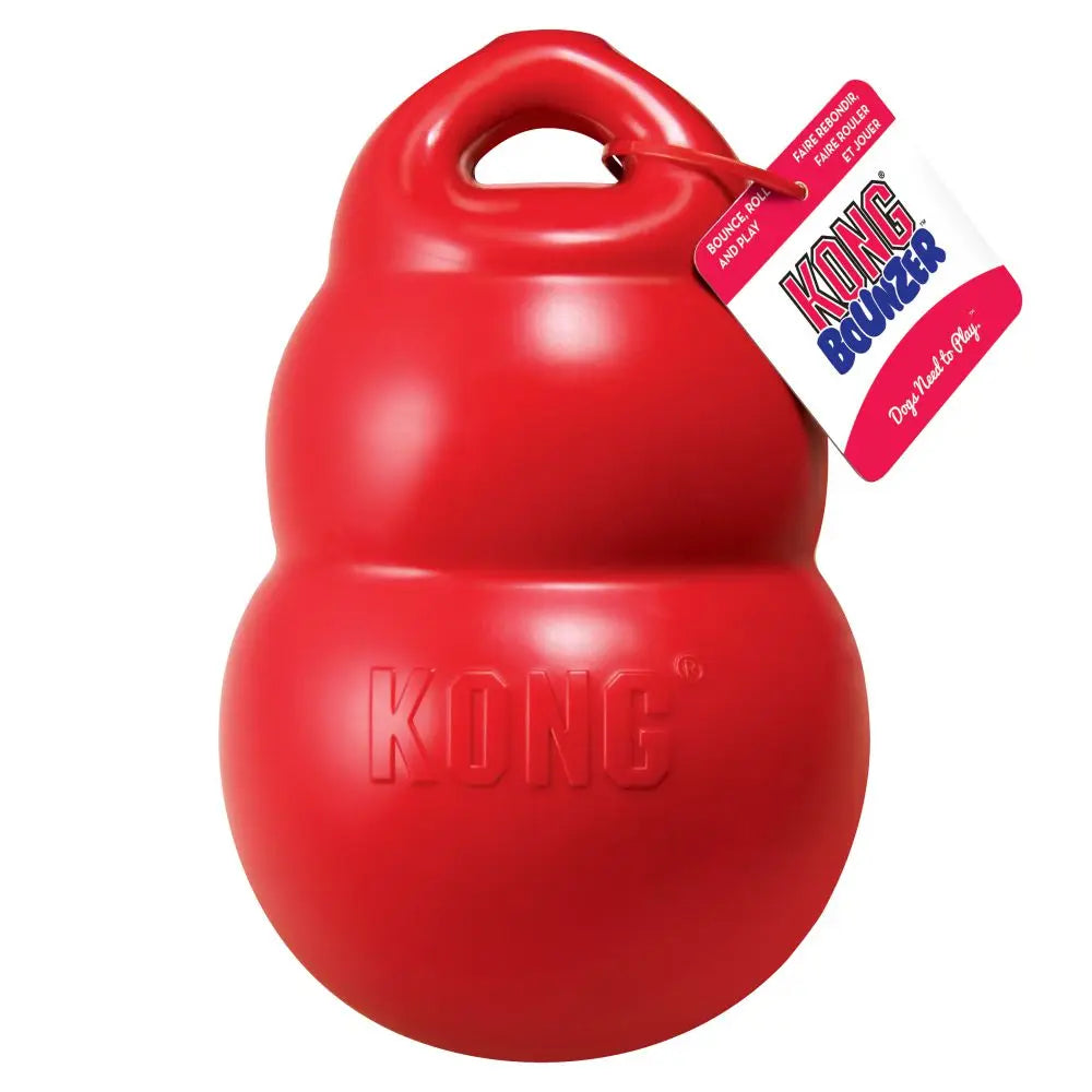 KONG Bounzer Large Dog Toys.
