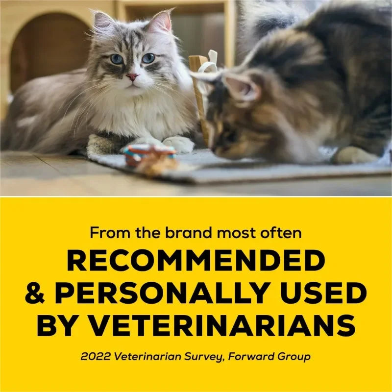 Low Dust Clumping Cat Litter Odor Control LightWeight Free and Clean Unscented Multi Cat Litter easy to carry pour and store