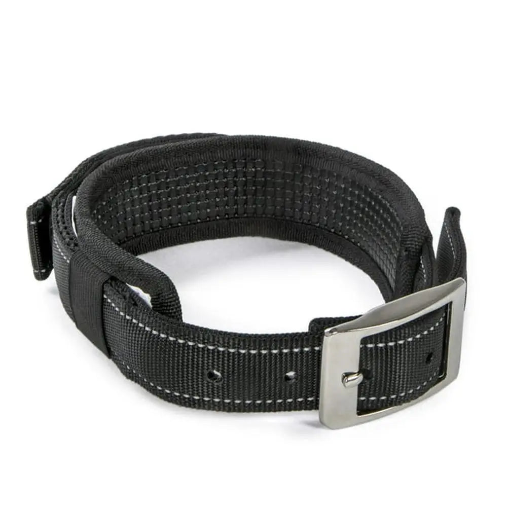 Dog Collar with Quick Grab Leash Handle Medium Black Padded Comfort Reflective Stitching Soft Nylon Pet Safety Restraint