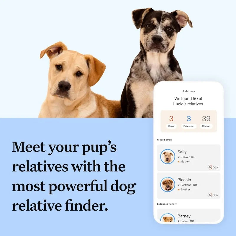 Wisdom Panel Breed Discovery Dog DNA Kit: Most Accurate Dog Breed Identification, Test for 365+ Breeds, MDR1 Health Test