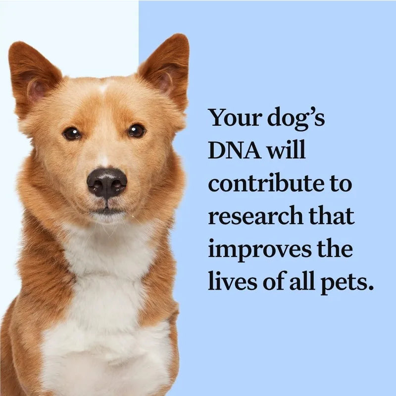 Wisdom Panel Breed Discovery Dog DNA Kit: Most Accurate Dog Breed Identification, Test for 365+ Breeds, MDR1 Health Test