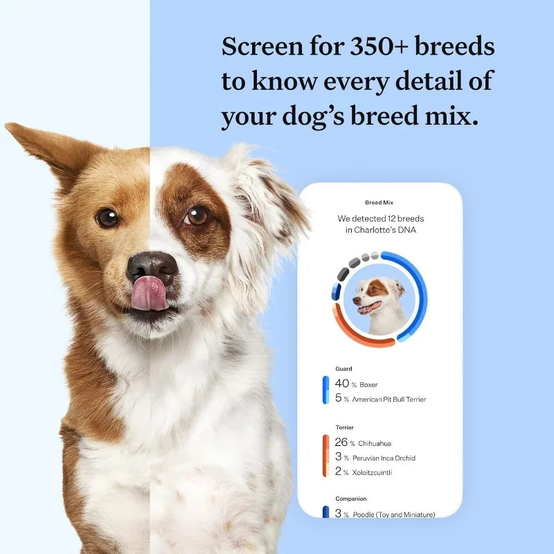 Wisdom Panel Breed Discovery Dog DNA Kit: Most Accurate Dog Breed Identification, Test for 365+ Breeds, MDR1 Health Test