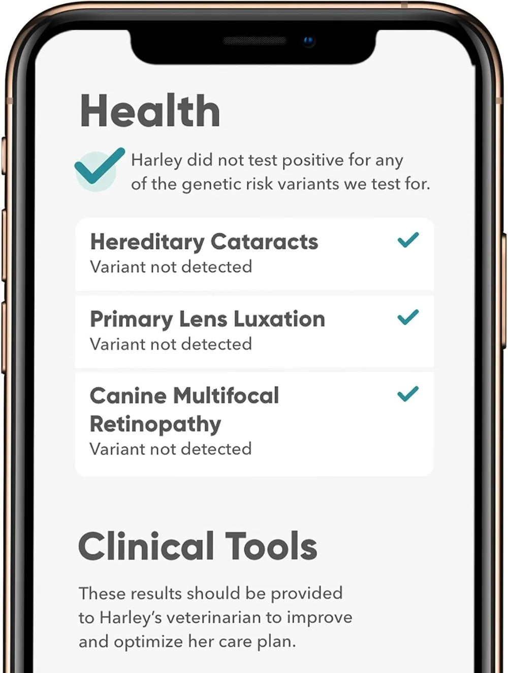 Breed Health Kit (2 Pack) Dog DNA Test Discover Breed Ancestry Relative Finder Genetic Health Traits COI Pet Test Strips
