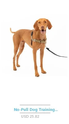 Dog Collar with Quick Grab Leash Handle Medium Black Padded Comfort Reflective Stitching Soft Nylon Pet Safety Restraint