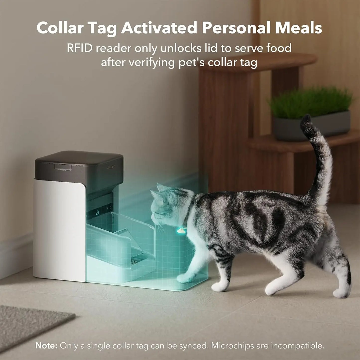 Upgraded RFID Automatic Cat Feeder 5G Wi-Fi Automatic Pet Feeder 3L Auto Cat Feeder App Control with Light Collar Tag Activated