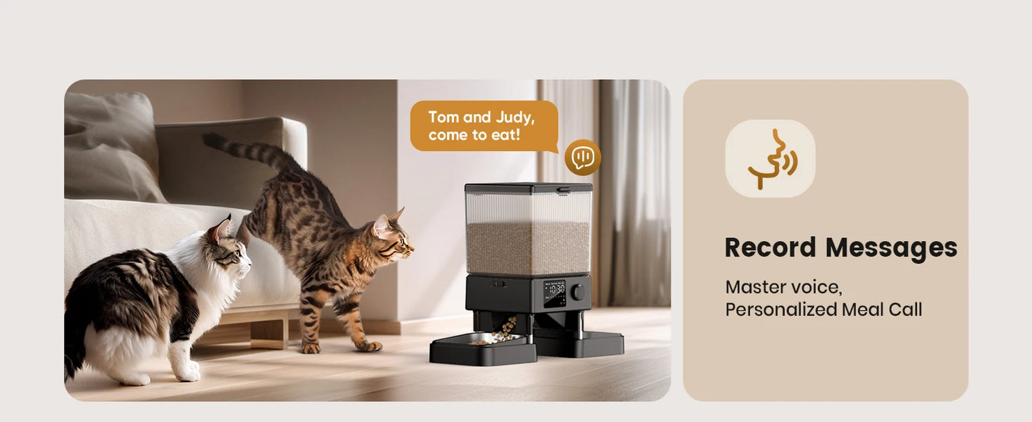 Automatic Cat Feeder for 2 Cats, 20 Cups/5L Automatic Cat Food Dispenser for Small Pets Indoor,