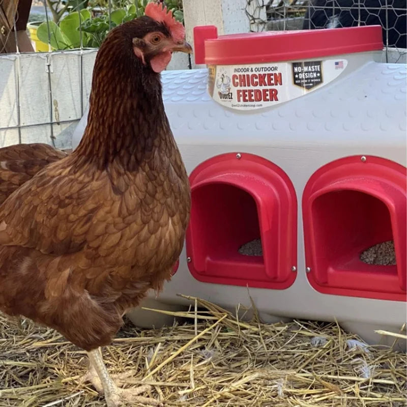 50 lb Chicken Feeder with Oyster Shell for Indoor/Outdoor Coops - For Egg-Laying Chickens