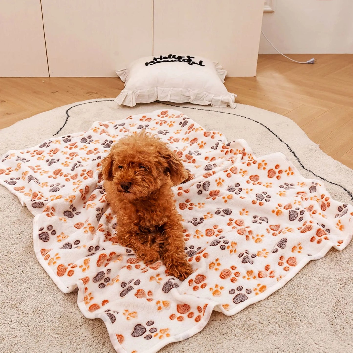 Dog Blanket Thin Coral Fleece Warm Soft Dog bed Blanket winter Comfort Cute High Quality Pet Blanket Plush Durable Pet supplies